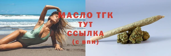 гашик Аркадак