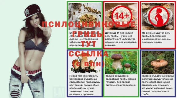 гашик Аркадак