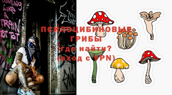 мдпв Армянск