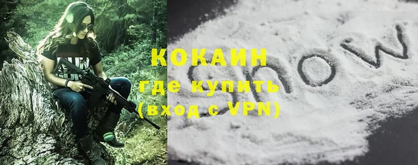 гашик Аркадак