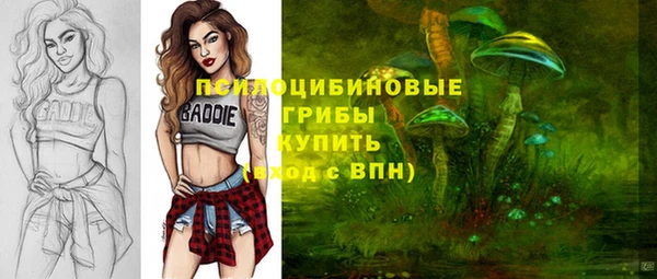 трава Арсеньев
