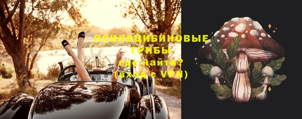 МДПВ Алексин